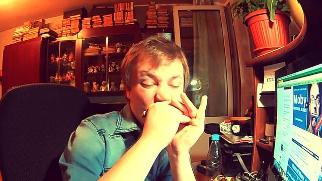 Moby"Natural blues" Harmonica cover. Губная гармошка. смотреть онлайн