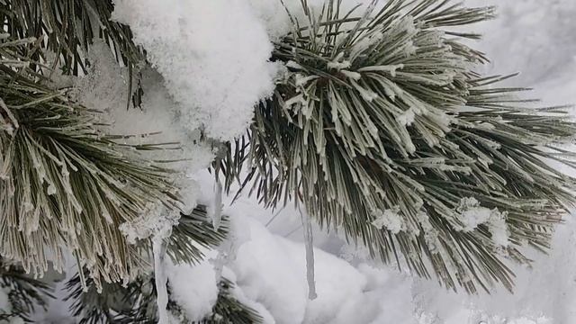 27 января- День Святой Нины. Народные приметы и традиции. Запреты дня. Именинники дня. смотреть онлайн