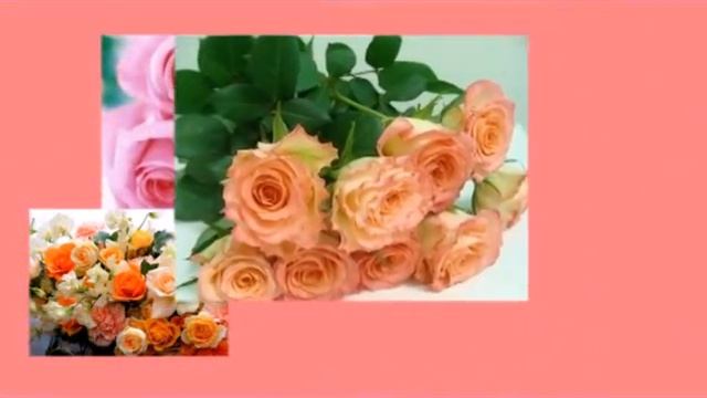 ТУМАНЫ---Тамара Козлова смотреть онлайн