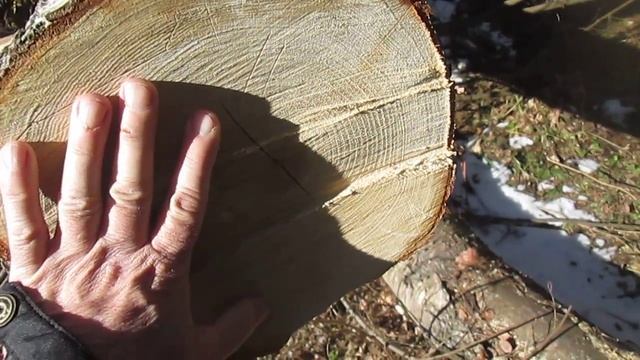 Почему деревянные нагели производятся из дерева березы смотреть онлайн