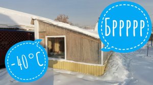 Обзор цветочной теплицы в -40 | Полив снегом тюльпанов в погребе | 04 января 2021г
