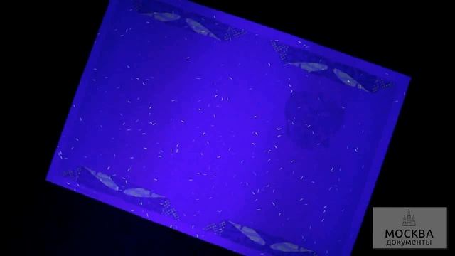 Диплом специалиста с отличием (образец 2010-2011 год) смотреть онлайн