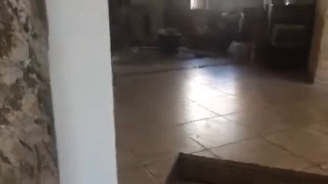 Стройка Желаний