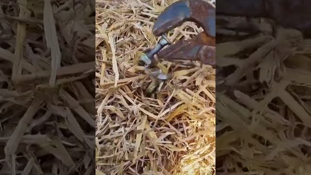 Хорошая Фантазия. смотреть онлайн