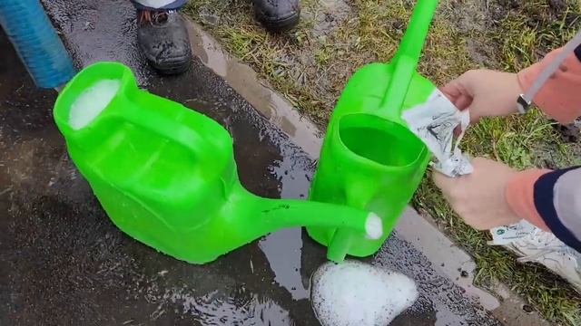 РОДИТЕЛЬСКАЯ АЛЛЕЯ. ОБЖИВАЕМ НОВУЮ ШКОЛУ. смотреть онлайн