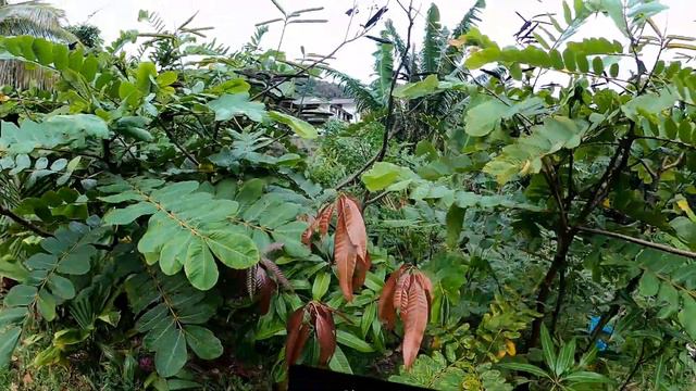 GOD S GRACE - ALL AROUND - By Grandpa James Chan. Faith makes a difference in James ' life! смотреть онлайн