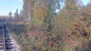 Вид с пионерки УЖД. Посёлок Берёзовский. Отправление ,езда в сторону к Алапаевску.