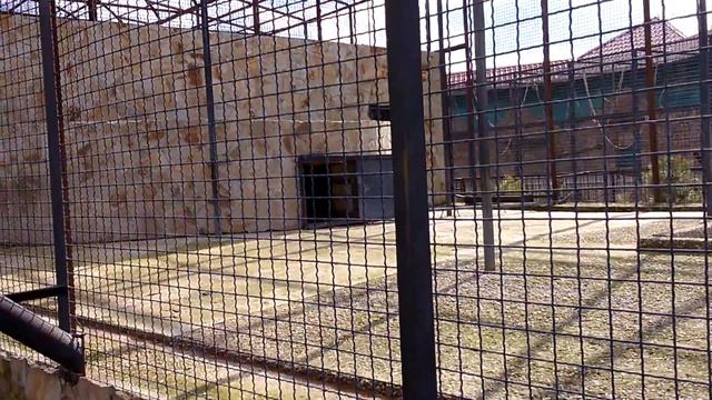 зоопарк тайган смотреть онлайн