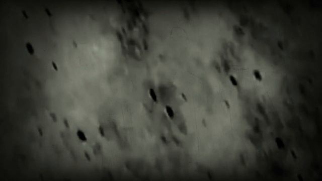 АСМР шаги по асфальтуASMR feet on the asphalt