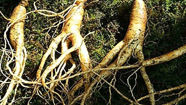 Хроническая усталость смотреть онлайн