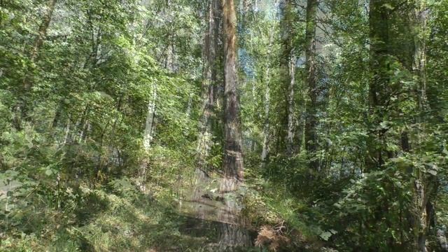 Озеро Тургояк. смотреть онлайн