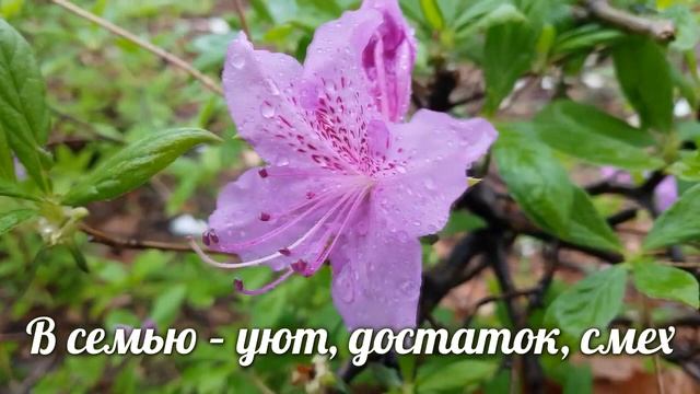 Видео поздравление с 1 мая – поздравление на 1 мая в стихах смотреть онлайн