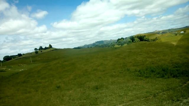 New Zealand. Countryside. Новая Зеландия. Дорога в Хоббитон смотреть онлайн