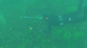 Подводные просторы России №2. Ангара. Часть II. Подводная охота в Ангаре. Хариус. Ленок