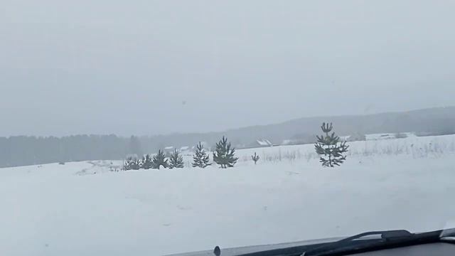 Поездка в Удмуртский питомник ЗСЛ. На испытания. смотреть онлайн