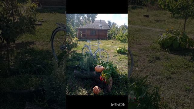 Улетело лето