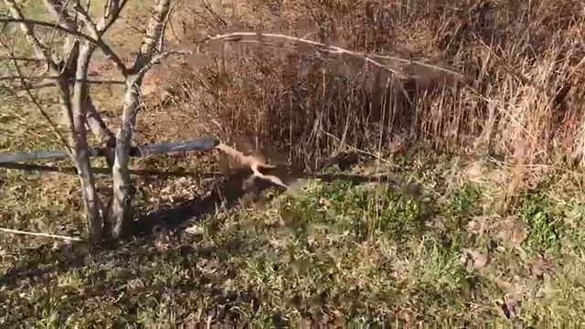 Прочистка скважины при помощи системы "airlift" (эирлифт) смотреть онлайн