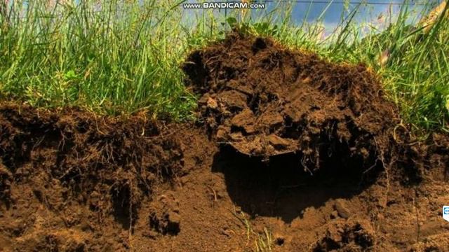 Почвы и факторы их образования часть 2 смотреть онлайн