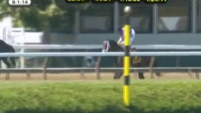 2014 Hopeful Stakes (G1) смотреть онлайн