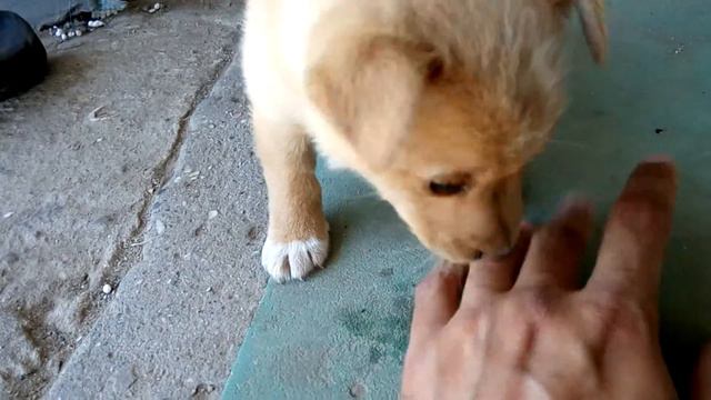 Милота зашкаливает))