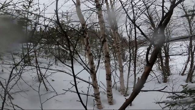 Снегоходный тур в Паанаярви - День 1 (21.02.2020) смотреть онлайн