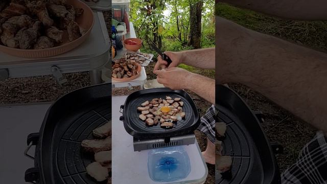 Карелия. Шашлык с яйцами на походном гриле. Походная еда. Июль 2024.mp4 смотреть онлайн