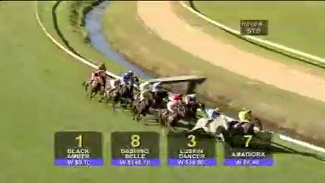 Black Amber - BEL, 9-May-2007 1600m (2nd) смотреть онлайн