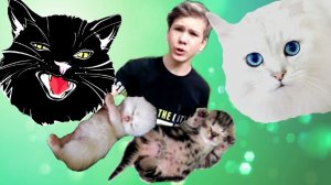 БЕДА У МОИХ КОШЕК! НИКИСА НЕВЗЛЮБИЛА КОТЯТ, А ИМ ИСПОЛНИЛАСЬ ТОЛЬКО 1 НЕДЕЛЯ.