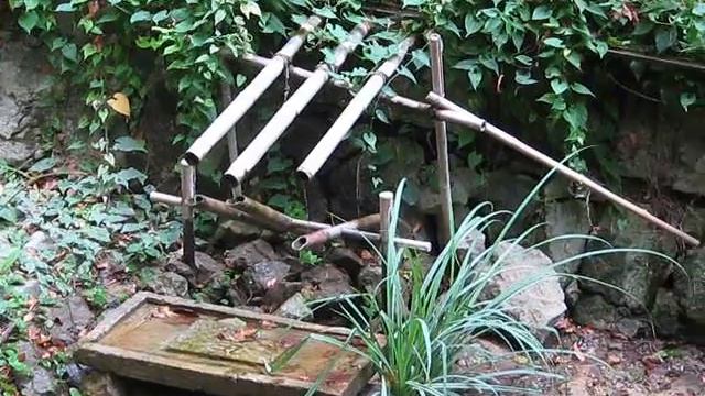 Никитский Ботанический Сад. "Парк приключений" / Nikitsky Botanical Garden. "Adventure Park" ч8 смотреть онлайн