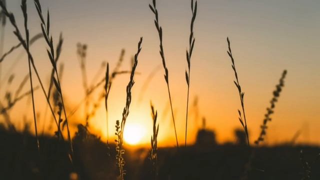 Good music AMBIENT CHILLOUT LOUNGE RELAXING MUSIC - Background Music for Relax. Sleep and dream смотреть онлайн