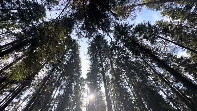 Сильная мантра убирает все неприятности, препятствия и невзгоды. Маха мантра. Харе Кришна смотреть онлайн