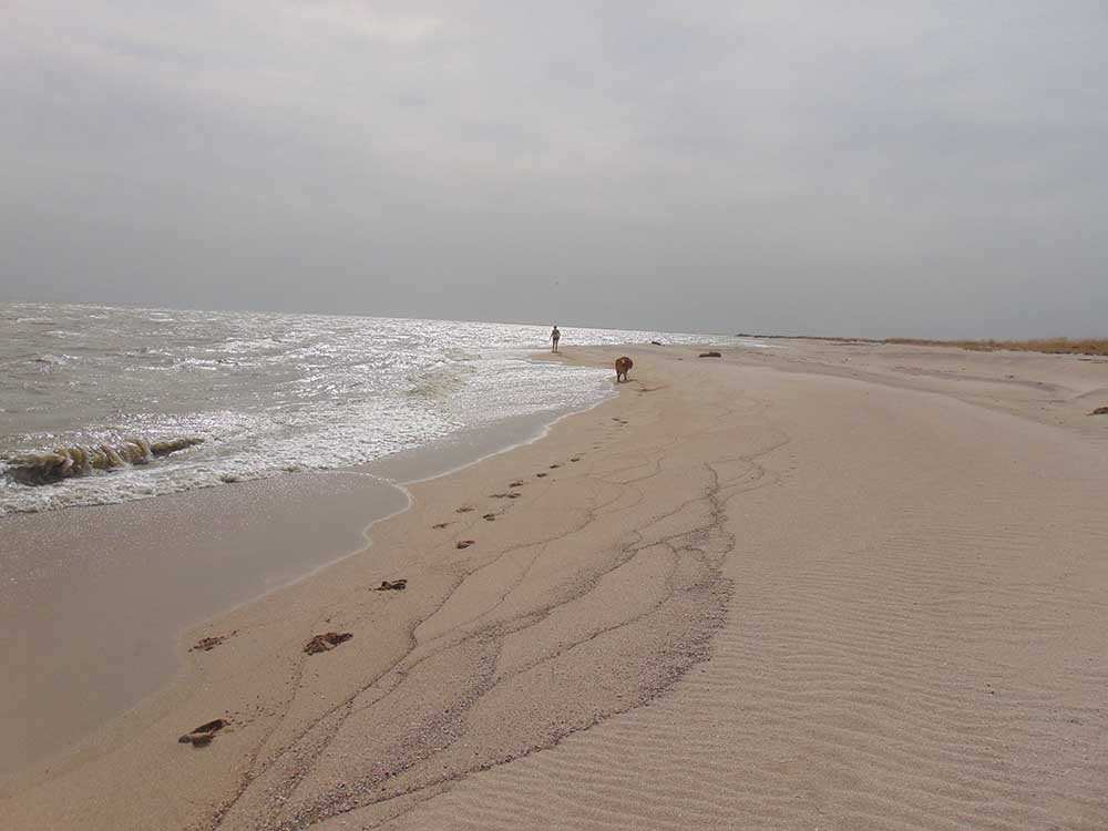 Мелодия Кривой косы смотреть онлайн