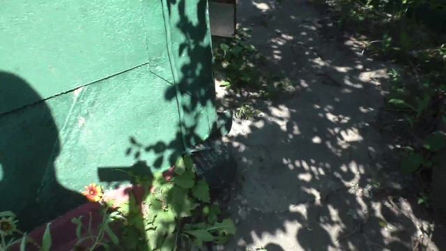 Ср. Икорец. Батя смотреть онлайн