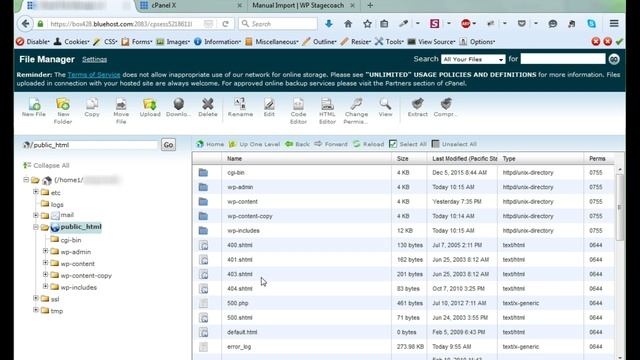 WP Stagecoach Manual Import Demo смотреть онлайн