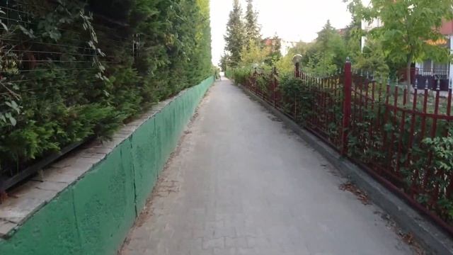 ЕЛЕНИТЕ БОЛГАРИЯ. А ГДЕ ЛЮДИ? смотреть онлайн