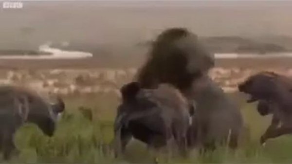 Дос туралы терме