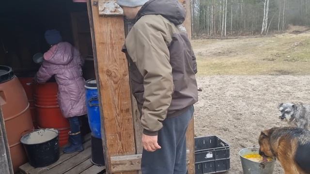 Ураган ломает деревья в нашем лесу.Паштет из печени.Посылка с севера.Как наши животные приняли кур смотреть онлайн