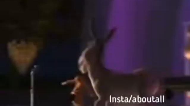 оп оп дживани шрек зажигает 🤣🤟 смотреть онлайн