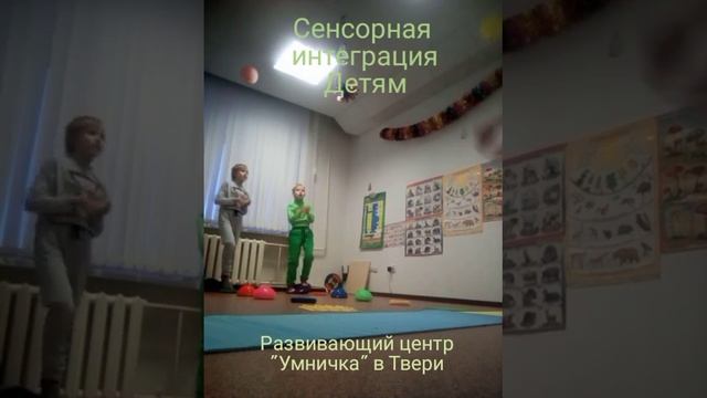 Сенсорная интеграция и мозжечковая стимуляция детям в Твери.