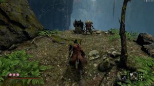 Sekiro shadows die twice: Воздушный змей