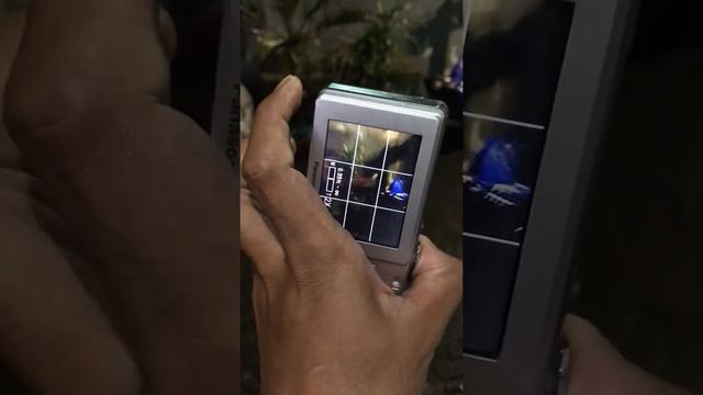 LUMIX DMC-FS6 смотреть онлайн