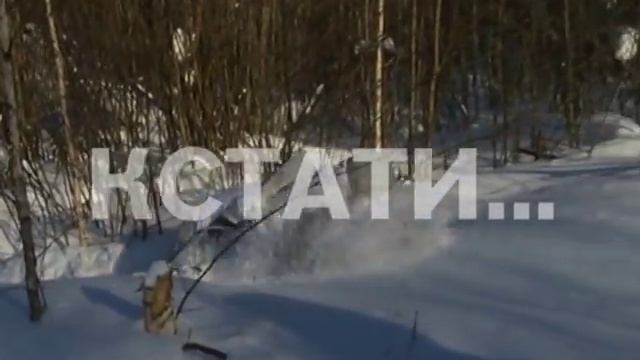 Военные разведчики демонстрировали сегодня свое мастерство смотреть онлайн