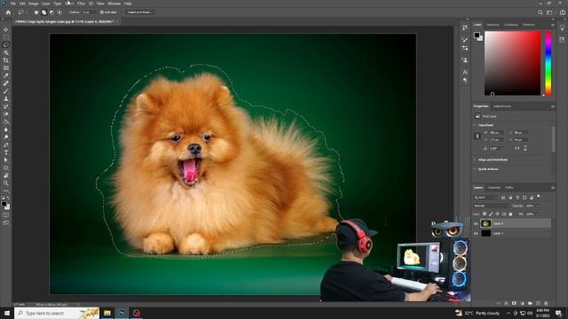 How to proper remove fur background or soft hair in photoshop смотреть онлайн