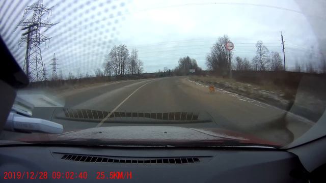 Лиса смотреть онлайн