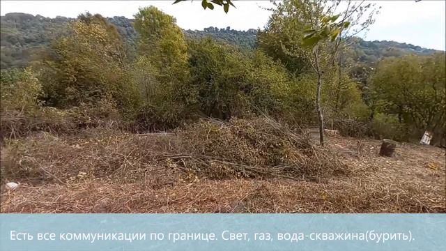 Сочи, СНТ Кипарис, 4 сотки, 2 млн руб смотреть онлайн