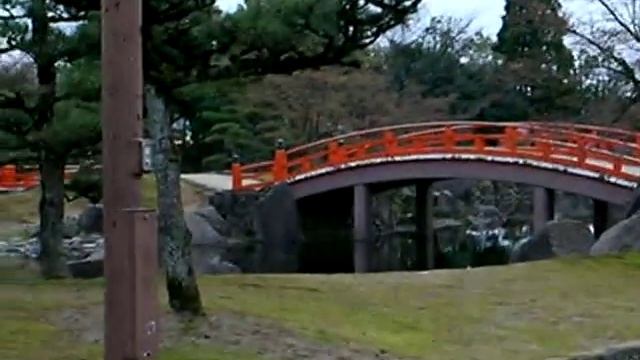 Парк с розовой сакурой смотреть онлайн