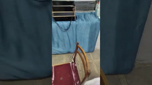 Гармони и баяны смотреть онлайн