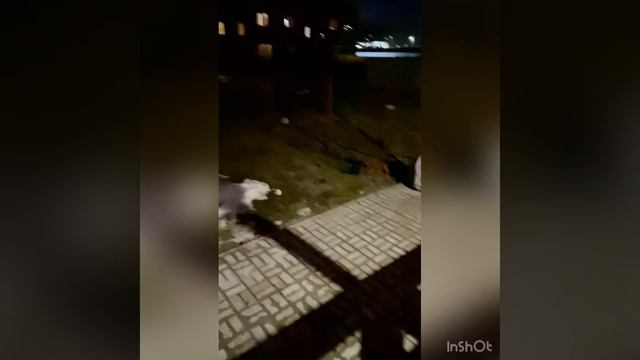 Обзор таунхаус Ждановский смотреть онлайн