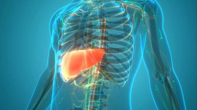 Книга ”Еда и мозг”. Статины, холестерин... смотреть онлайн