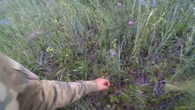 Довольно редкая находка в распаханной деревне - целый колокольчик! смотреть онлайн